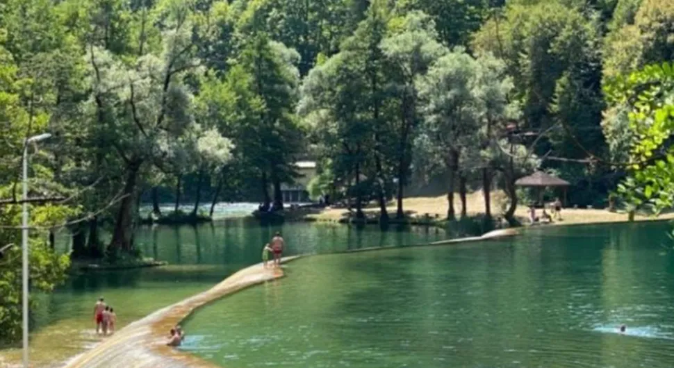 brana jajce.webp